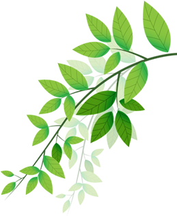 Branch decoration
