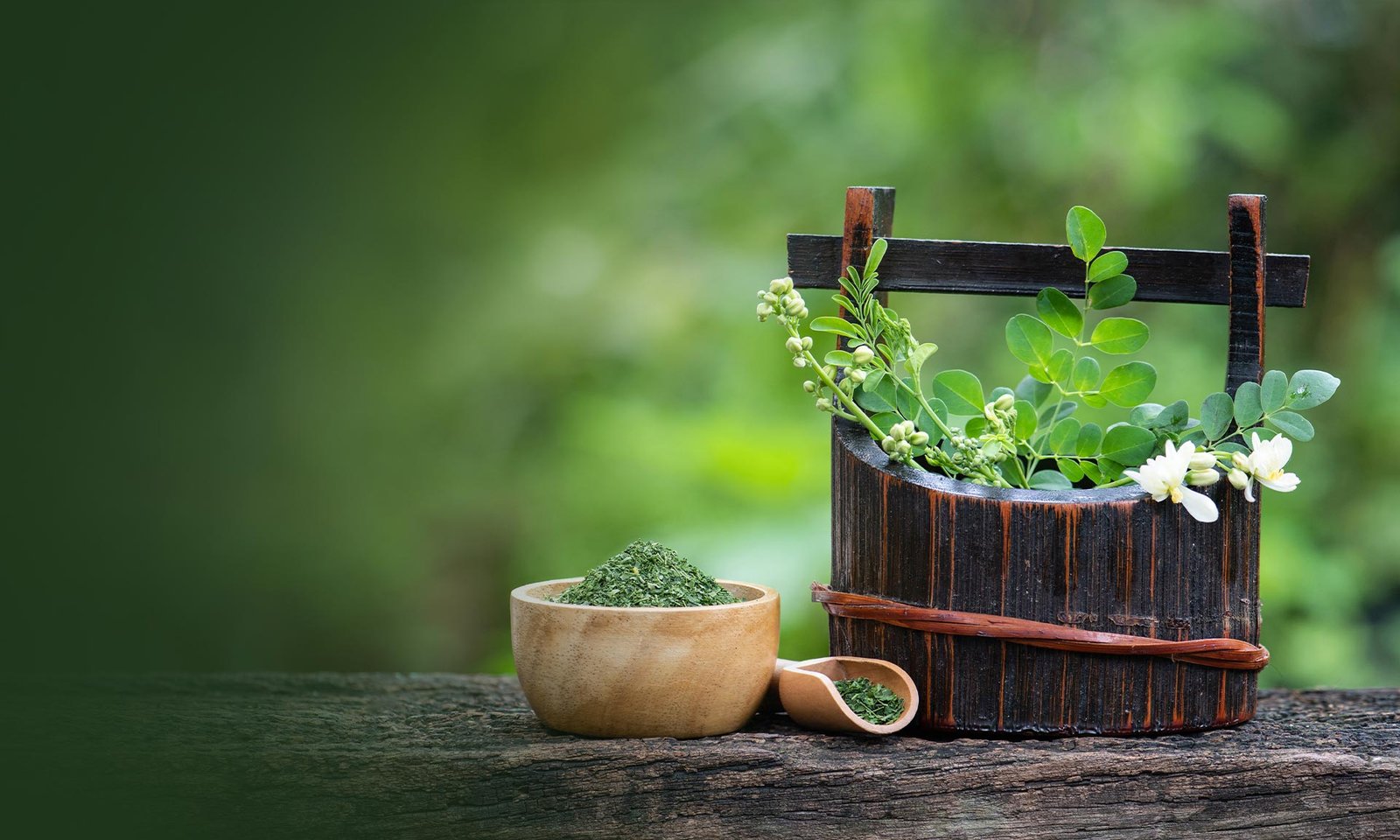 Ayurveda Consultation & Healing